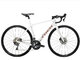 Bicykel Trek Domane SL 6 Crystal White 2020