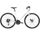 Bicykel Trek FX 3 Disc crystal White 2020