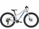 Bicykel Trek Roscoe 24 Quicksilver/Royal 2020