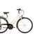 Bicykel Dema Lugo Lady white 2020