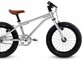 Bicykel Early Rider Belter 16 Brushed Aluminium