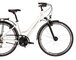 Bicykel Kross Trans 3.0 Lady White/Gray Gloss 2022
