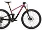 Bicykel Liv Pique Advanced 29 3 Mulberry Glitter 2025