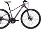 Bicykel Liv Rove 3 DD Purple Ash 2024