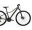 Bicykel Trek Dual Sport 1 Women's Lithium Grey 2021