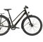 Bicykel Trek Dual Sport 3 Equipped Stagger Black Olive 2023
