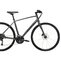 Bicykel Trek FX 2 Disc Satin Lithium Grey 2023