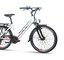 Elektrobicykel Crussis e-City 1.17 S White 2023