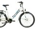 Elektrobicykel Crussis e-City 1.13-S White/Blue 2021