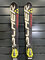 Používané lyže Fischer Race RC T2