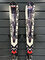 Používané lyže Salomon X-Wing T2