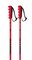 Lyžiarske palice Atomic Redster JR Red/Black 19/20