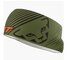 Čelenka Dynafit Graphic Performance Headband Winter Moss