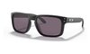 Okuliare Oakley Holbrook Matte Black W/Prizm Grey