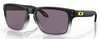 Okuliare Oakley Holbrook TDF Black Fade w/Prizm Grey