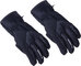Lyžiarske rukavice Blizzard Chamonix ski gloves black/grey