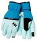 Lyžiarske rukavice Helly Hansen W Alphelia Warm Ht blue 19/20