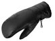 Rukavice Salomon Native Mitten W Black