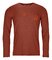 Tričko Ortovox 185 Merino Logo Spray LS | Clay Orange