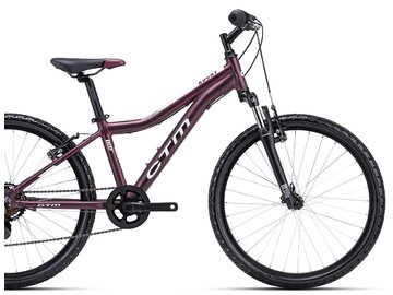 Bicykel CTM Rocky 2.0 Matná Tmavoružová Perleť 2024
