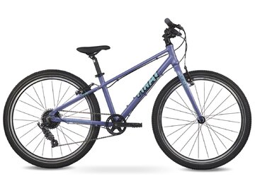 Bicykel FÍHA 24 Aura Blazer