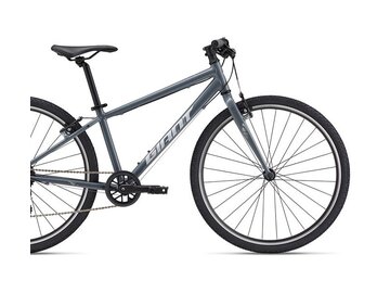 Bicykel Giant ARX 26 Ocean Storm 2025