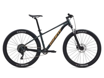 Bicykel Giant Talon 29 2 Asphalt Green 2025