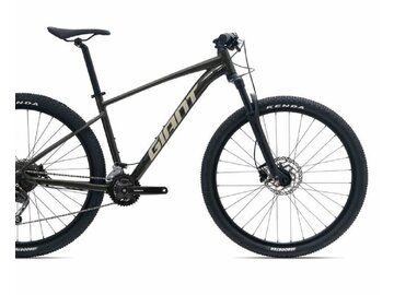 Bicykel Giant Talon 2-GE Phantom Green 2024