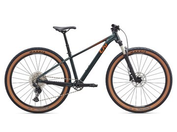 Bicykel Liv Tempt 29 0 Asphalt Green 2025