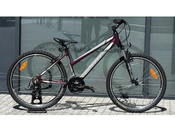 Testovaný bicykel CTM Suzzy 1.0 Tmavoružová Perleť/Sivá 2023