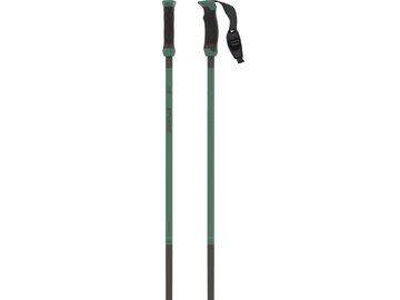 Lyžiarske palice Atomic Redster Q Carbon SQS Green/Carbon