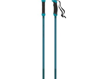 Lyžiarske palice Atomic Redster X Sqs Teal Blue