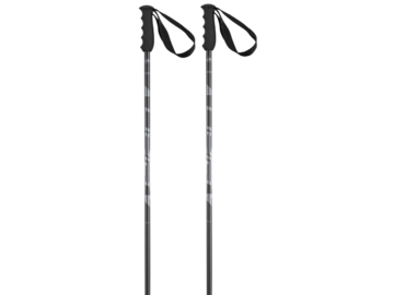Lyžiarske palice Elan Speedrod Black 23/24