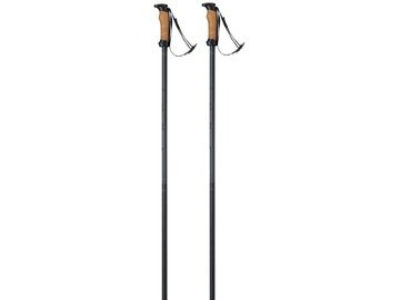Lyžiarske palice Elan Speedrod Black