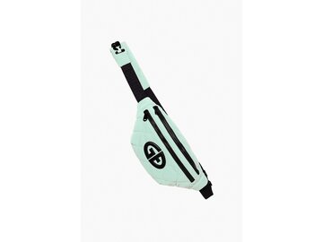 Ľadvinka Goldbergh Col Fanny Pack Matcha Mint