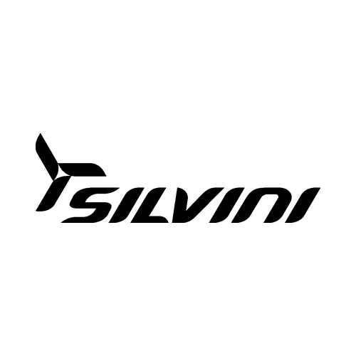 Silvini