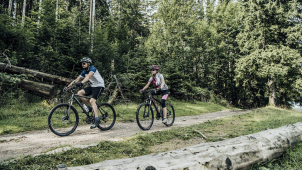 Bicykle Kross Hliník 